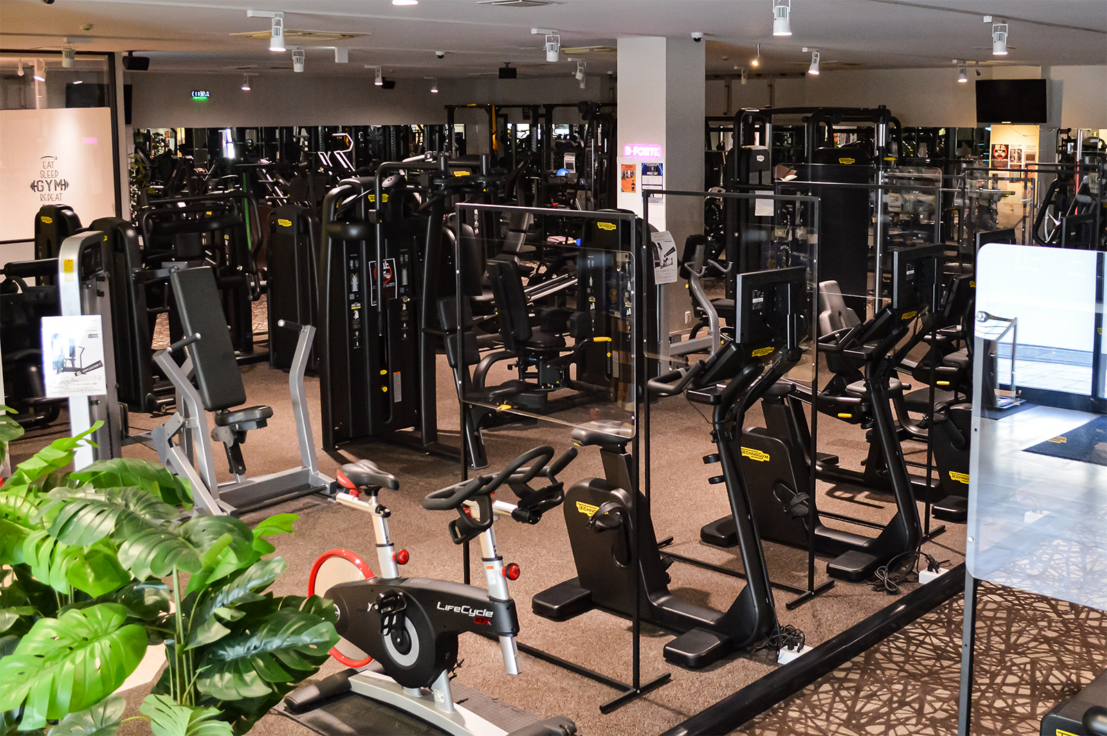 ビフォルテ24 吉川駅 ジム館内の写真